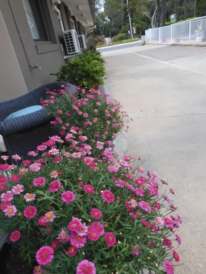 **  Dalby Parkview Motel オーストラリア