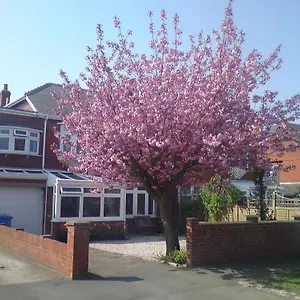 Cherry Blossom United Kingdom